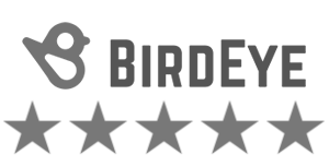 5 stars on Birdeye